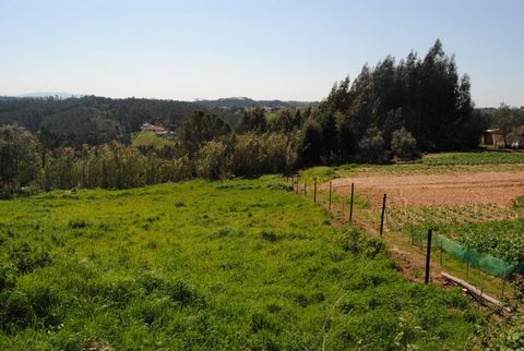 1.000 m2 plot of land with the possibility of construction of a villa with swimming pool with max 290 m2 + basement. Located close to the hamlet of Alvorninha, about 15 minutes from the city of Caldas da Rainha. Unobstructed view over the countryside...