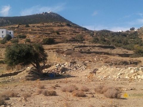 For sale a land of 7000sq.m. on the cycladic island Sifnos in Greece. The price is 500.000 euro The land has its own road.There are waterlines inside and electric- and phoneline near. The land is situated 2 km. from the beach and has a local busstop ...