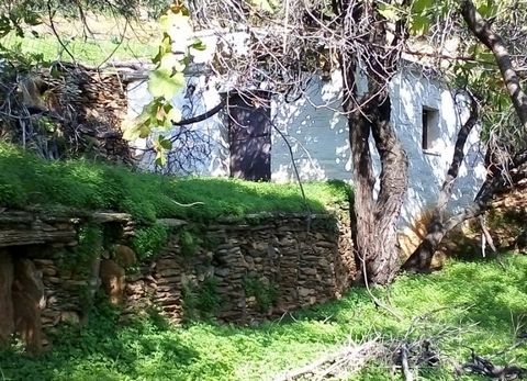 For sale a parcel of 8.000 sq.m. in the area K Ipsilou in Andros, buildable, near a rural road. It is fenced and has 2 water sources, 2 tanks, lemon trees, oranges, walnuts, olives, muslims, plums and a stone storage room with a fireplace of about 20...