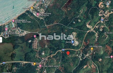 Amazing land, probably the last piece with this characteristic in the whole Las Terrenas, Samana, where you have a front the main boulevard, flat area going all the way to the hill, giving an amazing ocean view. It can hold any business development o...