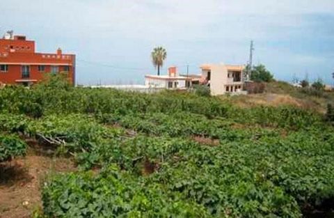 Opportunity to buy your land! Farm located in Santa Cruz de Tenerife. It is land with residential use. It has an area of 622 m²s and a buildable area of 871.22 m²t. It is a set of 22 plots. Call us, we will inform you without obligation. The offer is...