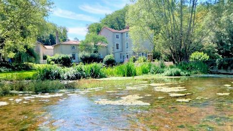 Sensational location for the 8 beds 6-bathroom moulin all set at the end of a long calm lane no close neighbours, surrounded by woodland and teeming with wildlife. The existing owners run a successful chambre d hote business with one adjoining self-c...