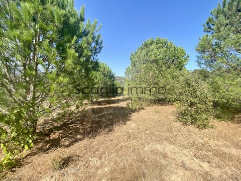 The agency Scaglia immo offers for sale this beautiful almost flat land with an area of 4818 m2 in the town of Figari. The land holds a building permit for a house of 81 m2 habitable. The plot is located in the heart of the building area of the Commu...