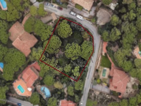 In the quiet residential area of Sant Crist, you will find this generous 1,515m2 plot, located in the charming village of Cabrils. Thanks to its strategic position, this plot enjoys a privileged orientation that provides spectacular views of the sea ...