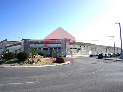 5,932 sq.M Building in Peniche. Inserted in a 8,848 sq.M plot. It previously operated as a fish factory. With feasibility for other activities. Excellent location. 150 meters from the beach. *The information provided is for information purposes only,...