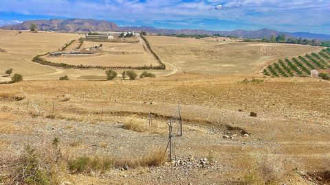 GREAT OPPORTUNITY IN CÁRTAMA, MÁLAGA!We present to you this large terraced rural agricultural land of 31,680 m2 and many possibilities to develop various agricultural and/or rural tourism activities.Located in the municipality of Cártama, in the Casa...