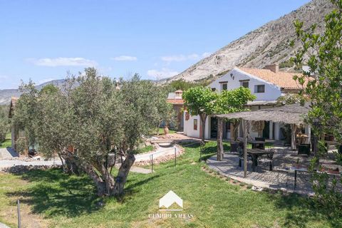 Rural boutique hotel with a family atmosphere situated in the Lecrín Valley, at the foot of the Sierra Nevada National Park. The nearest village is 500 metres away and it is less than 20 minutes to the Costa Tropical and Granada city. This original b...