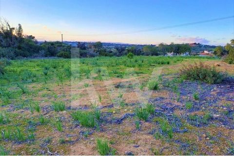 Rustic land with 3440 m2 located in Lamijo, Algoz with panoramic views of the countryside. Flat land without registered acess, private or public. Distances: - 1.3 km from Algoz, services, schools and shopping areas - 15 km from Silves, services, scho...