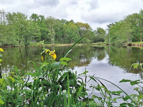 Cette propriété, se situe en région Centre-Val de Loire dans le département du Loir-et-Cher. Proche de toutes commodités à moins de 10 minutes de Chambord et à 30 minutes de Blois et Orleans. Ce domaine est composé d’une charmante maison d’habitation...