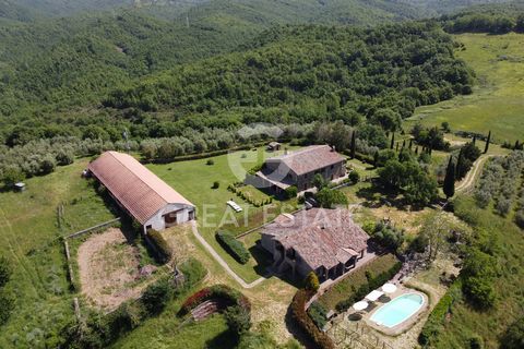 In nature and fresh woods, on a panoramic hill between Orvieto and Monte Peglia; Farmhouse with swimming pool, outbuilding and adjoining warehouse for a large residence or accommodation facility/farm thanks to 46 hectares of land. The property has bu...