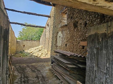 photo no. 2