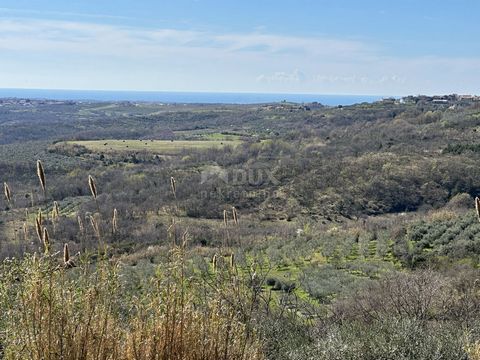 Location: Istarska županija, Buje, Buje. ISTRIEN, BUJE - Bauland mit freiem Blick auf das Meer und Baugenehmigung Die mittelalterliche Stadt Buje liegt im nordwestlichen Teil der Halbinsel Istrien und liegt auf einem Hügel mit herrlichem Blick auf da...