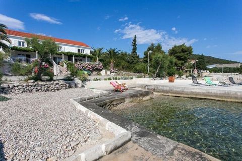 Apartments Stipo are situated in Drače, a little coastal village on Pelješac peninsula near famous Ston with beautiful beaches and historic monuments, cafes and world class restaurants. The property offers you a spacious four apartments with furnishe...