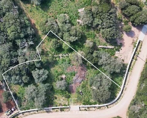 - Vidéo sur demande - À 10 minutes du centre de Bonifacio dans un lotissement de 13 lots, ce bien rare représente une opportunité exceptionnelle d'acquérir un terrain constructible et viabilisé d'une surface de 2 263 m² avec un aperçu mer. Idéalement...