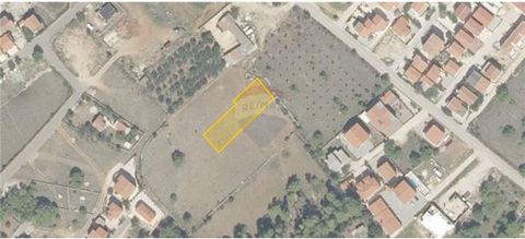 Location: Zadarska županija, Vir, Vir. ID CODE: 300501019-24 Ivan Budija Agent s licencom Mob: +385 95 506 59 63 Tel: 053 560 173 E-mail: i.budija@remax.hr www.nekretnine-complete.com