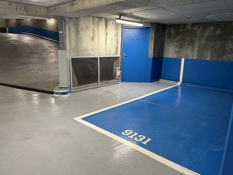 photo no. 17