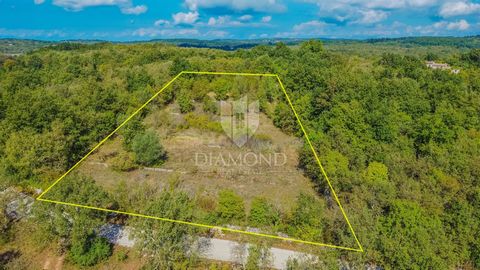 Location: Istarska županija, Grožnjan, Grožnjan. Istria, Grožnjan! Just an 8-minute drive from the beautiful town of Grožnjan, located in a quiet location, there is this exceptional building plot! The total area of ​​the land is 4,622 m2 and is compl...