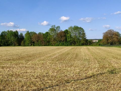 Dans la vallée de La Creuse - A moins de 20 mm de la gare TGV de Châtellerault et 10 mm La Roche Posay - Superbe parcelle de terrain à bâtir très très au calme tous réseaux devant inclus le tout à l'égout - L'etude de sol et le bornage sont fait. Lib...