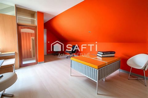 photo no. 13