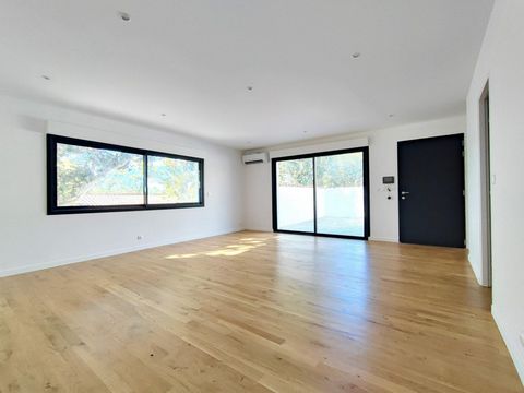 photo no. 2
