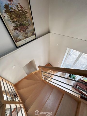 photo no. 12