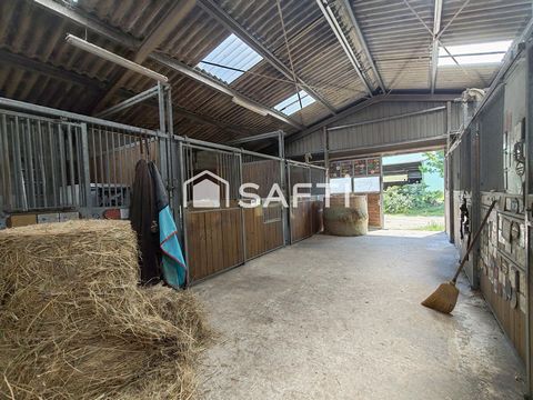photo no. 19
