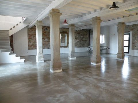 photo no. 12