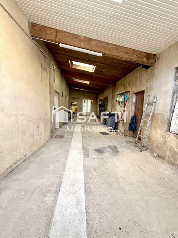 photo no. 17