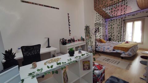 photo no. 10