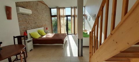 photo no. 19