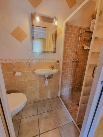 photo no. 11