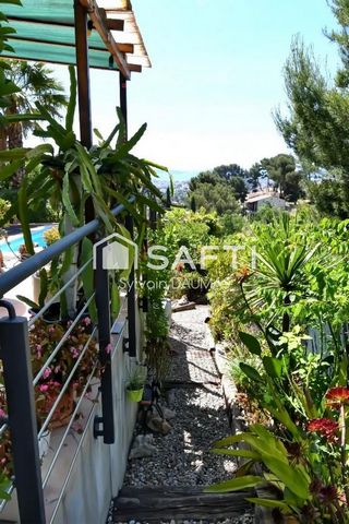 photo no. 16