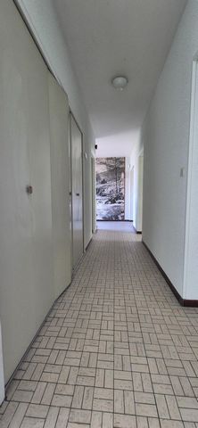 photo no. 7