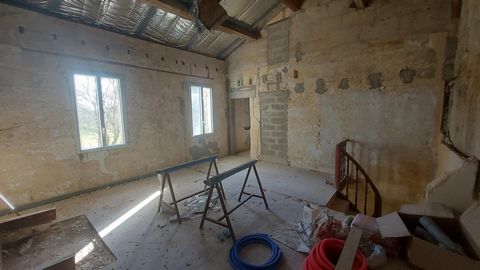 photo no. 5
