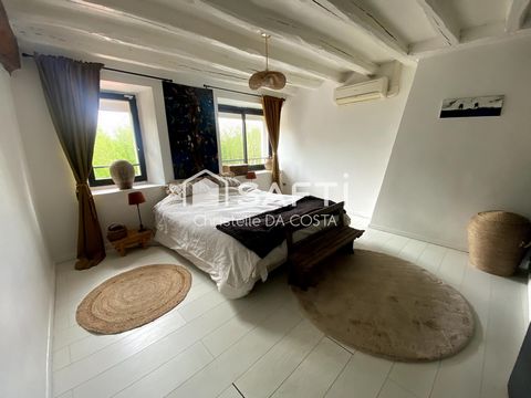 photo no. 7