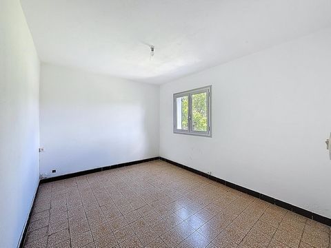 photo no. 12