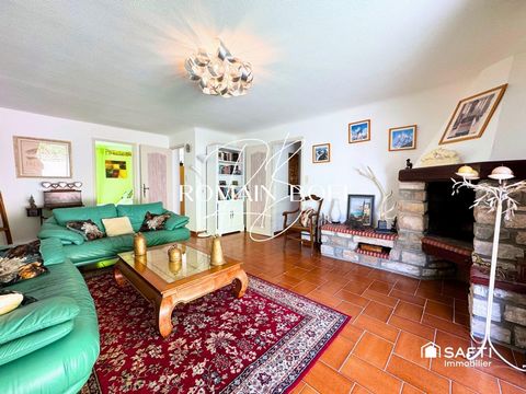 photo no. 16