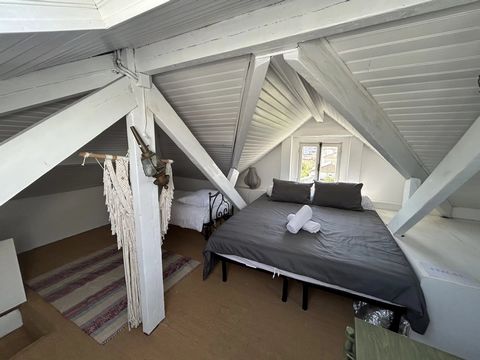 photo no. 9