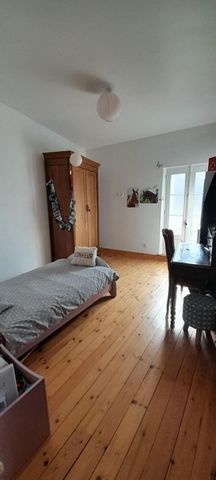 photo no. 6