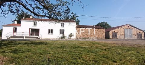 photo no. 11