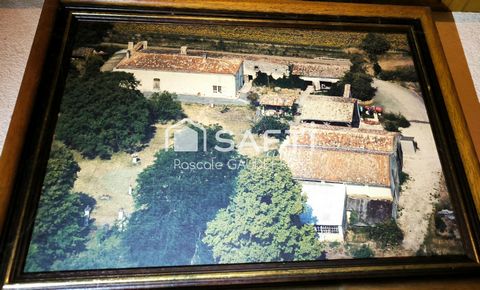 photo no. 11