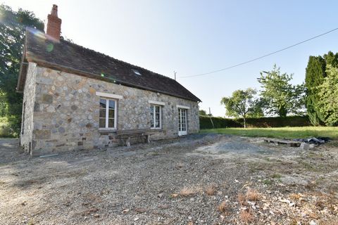 photo no. 1