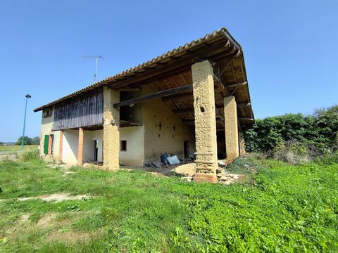 photo no. 11
