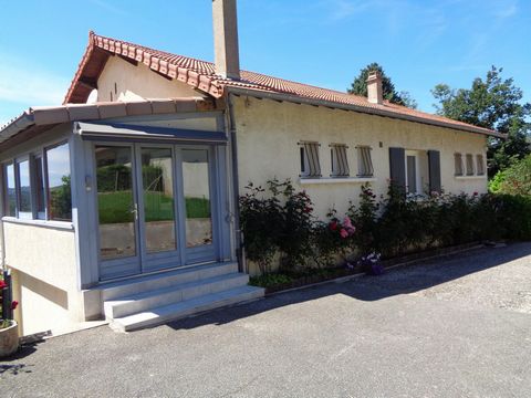photo no. 9
