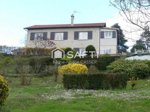 photo no. 11