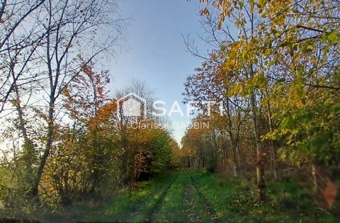 photo no. 13