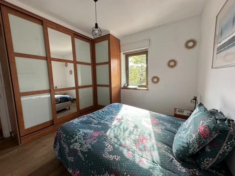 photo no. 10