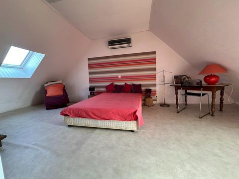 photo no. 12