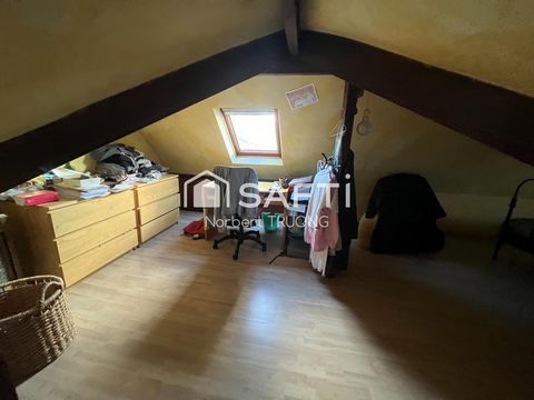 photo no. 9