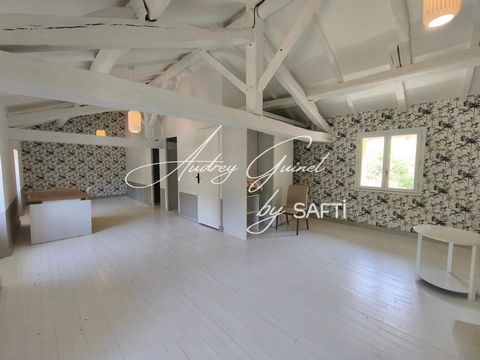 photo no. 15